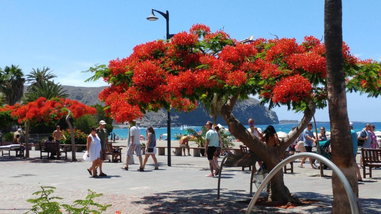 Playa De Los Cristianos Casa Adriano Bagian luar foto